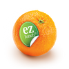 Ezlunch Logo